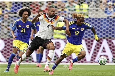 World Cup 2026: FIFA bác bỏ cáo buộc nhằm vào trọng tài VAR