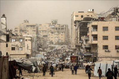 Điều bất ngờ xuất hiện giữa những đống đổ nát ở Gaza