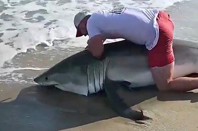 Ngư dân bất ngờ câu trúng 'quái vật' hơn 130kg và cái kết