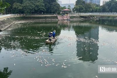 Hà Nội: Cá chết nổi trắng hồ Nghĩa Đô