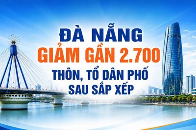 Bức tranh tinh gọn thôn, tổ dân phố Đà Nẵng qua những con số