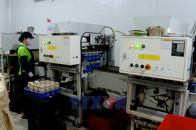 Đột phá doanh thu nhờ ứng dụng công nghệ trong sản xuất