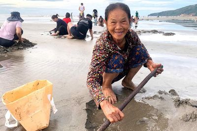 Nhọc nhằn nghề cào ngao tự nhiên trên biển Quỳnh xứ Nghệ