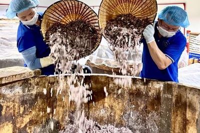Nâng cao chất lượng, giữ vững thương hiệu OCOP Thanh Hóa