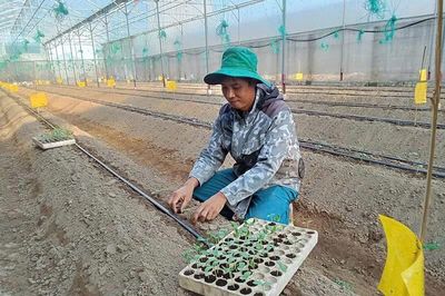 Nông dân trẻ dám nghĩ, dám làm