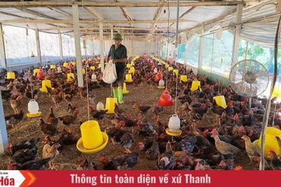 Giảm nghèo từ thông tin: Cách làm hiệu quả ở Thọ Bình