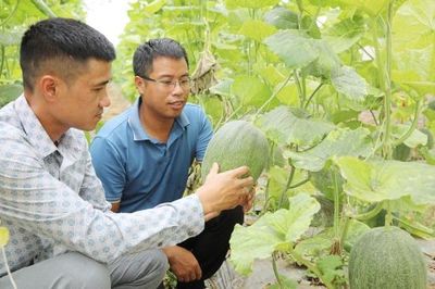 Đảng ủy phường Tân An: Nghị quyết sát thực tiễn, nông sản vươn xa