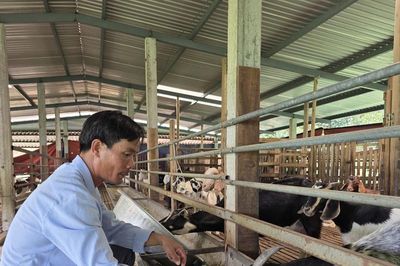 Những 'CEO chân đất' giữ đất vùng ven