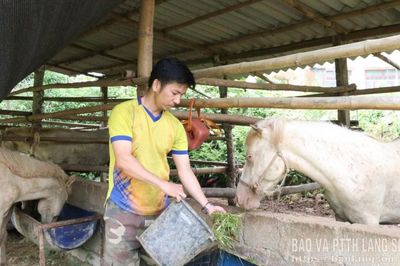 Chiến Thắng, thắng nhờ bạch mã