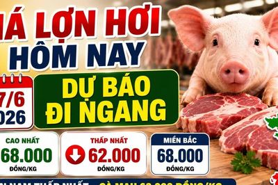 Giá lợn hơi hôm nay 17/6: Nhiều địa phương duy trì mặt bằng ổn định