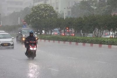 Lào Cai: Đêm 17, ngày 18/6 có mưa dông rải rác, cục bộ mưa vừa đến mưa to