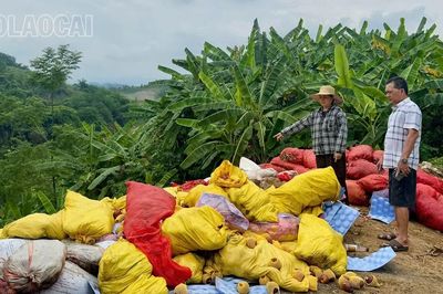 Người dân bức xúc vì hàng chục tấn rác thải đổ trộm tại phường Lào Cai