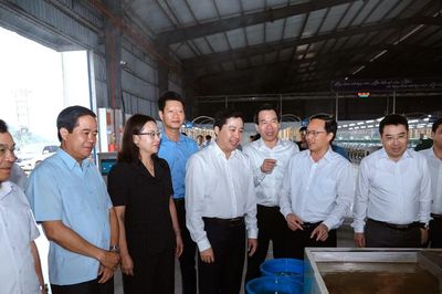 Thường trực Tỉnh ủy kiểm tra tiến độ Dự án Cụm Công nghiệp Bắc Văn Yên và Nhà máy Dâu tằm tơ Yên Bái