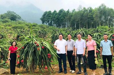 Phường Trung Tâm hoàn thiện từng khâu cuối cùng trước ngày khai hội 'Hoa trái bốn mùa - Trải nghiệm và kết nối' năm 2026