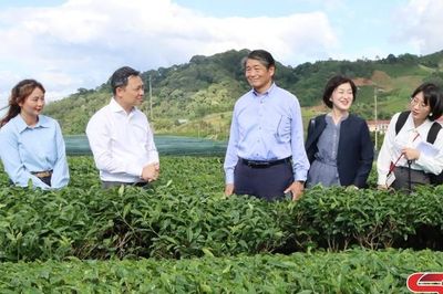 Tăng cường đối ngoại, mở rộng hợp tác quốc tế