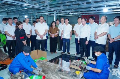 Bí thư Tỉnh ủy Trịnh Xuân Trường khảo sát mô hình phát triển kinh tế - xã hội tại các xã phía Bắc Thái Nguyên