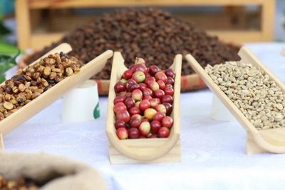 Ngày 17/6: Giá cà phê đảo chiều giảm, hồ tiêu neo ở mức cao