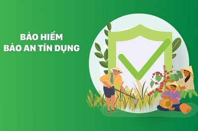 Tranh chấp bảo hiểm 'Bảo an tín dụng' ABIC sau khi người vay qua đời, Tòa án nhân dân tỉnh Vĩnh Long ra phán quyết