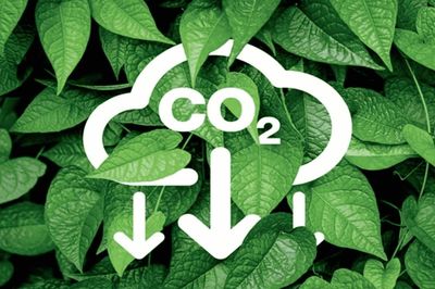Sàn giao dịch carbon: Đòn bẩy cho doanh nghiệp chuyển đổi xanh