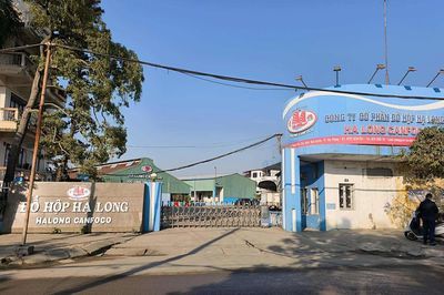 Sau 5 tháng 'đóng băng', Đồ hộp Hạ Long đã 'rã đông'?