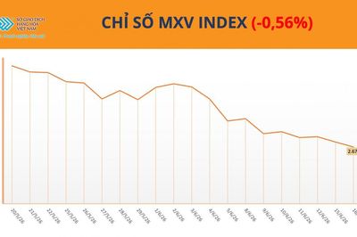 Thị trường hàng hóa: Giá dầu lao dốc kéo MXV-Index giảm, cà phê nối dài đà tăng
