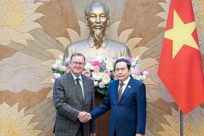 Việt Nam - Đức chia sẻ kinh nghiệm lập pháp, chuyển đổi số