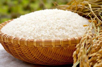 Giá lúa gạo hôm nay 17/6: Không biến động