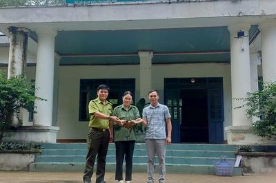 Người dân phát hiện 'loài vật rất quý' liền mang về giao nộp cho chính quyền