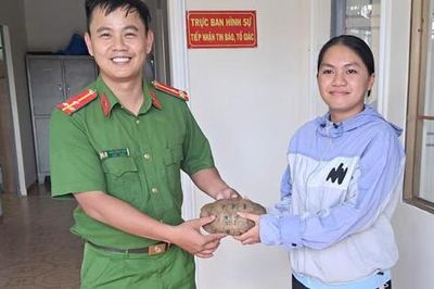 Phát hiện rùa núi vàng trong vườn, nữ sinh ở Lâm Đồng mang đến cơ quan công an