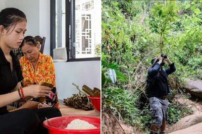 Vì sao không nên vào rừng hoặc ra sông, ra biển trong ngày Tết Đoan Ngọ?