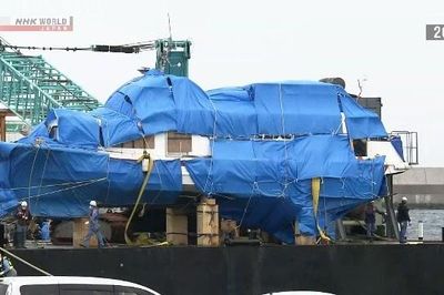 Giám đốc công ty tàu du lịch bị tuyên án 5 năm tù