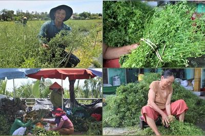 Người dân Đà Nẵng lãi hàng chục triệu đồng nhờ bán 'lá mùng 5'