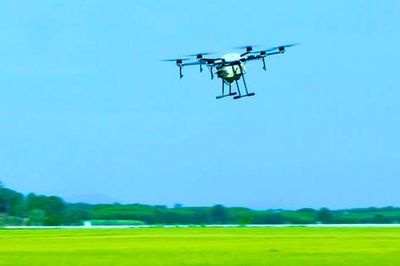 Drone ra đồng, nông dân nhàn hơn