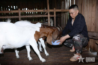 'Triệu phú' nuôi dê ở vùng sâu
