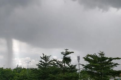 TPHCM oi nóng ban ngày, chiều tối có mưa dông