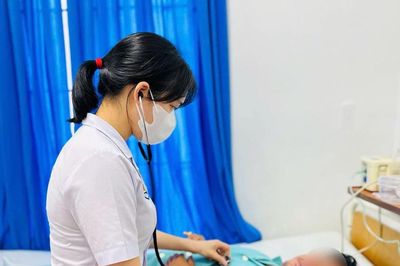 Liên tiếp ca ngộ độc do ăn cá nóc, cá chình