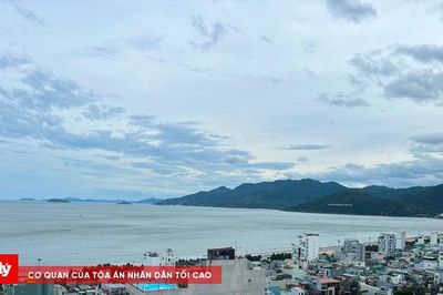 Gia Lai 'truy' trách nhiệm nếu để nhà, đất công bỏ trống, sử dụng kém hiệu quả