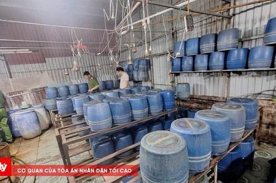 Khởi tố chủ cơ sở sản xuất giá đỗ bằng dung dịch độc hại