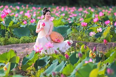 Đẹp ngỡ ngàng đồng hoa sen lớn nhất Đà Nẵng, du khách thích thú đến check-in