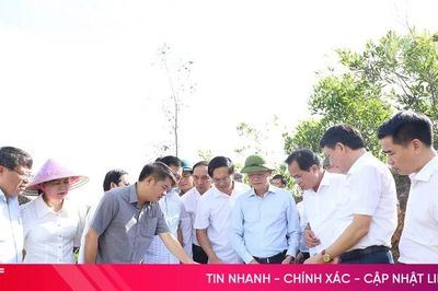 Thạch Xuân tập trung tháo gỡ khó khăn, kiến nghị đầu tư hạ tầng kết nối liên vùng