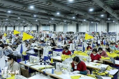 Nỗ lực tháo gỡ các vướng mắc trong hợp tác kinh tế Việt Nam-Liên bang Nga