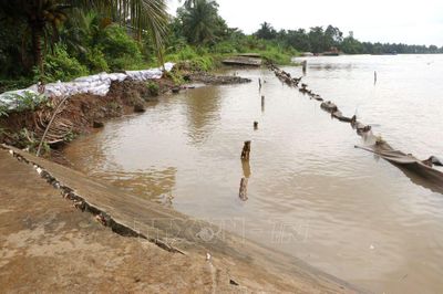 Vĩnh Long: Tuyến đê bao sông Măng tiếp tục bị sạt lở
