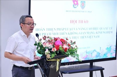 Hoàn thiện pháp luật để xử lý hiệu quả tội phạm mới trên không gian mạng