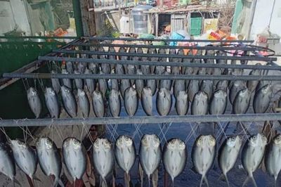 Đang đi dạo, người dân phát hiện cảnh tượng 'nổi da gà', nhiều người kéo đến xem tận mắt