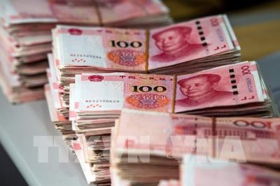Sức hấp dẫn ngày một tăng của 'trái phiếu gấu trúc'