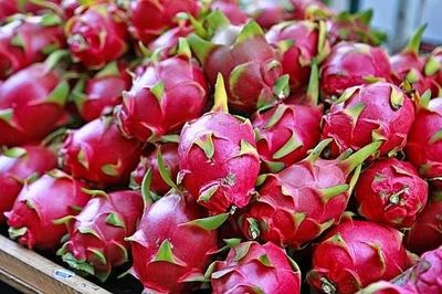 Pháp siết kiểm soát thực phẩm nhập khẩu, doanh nghiệp xuất khẩu cần làm gì?