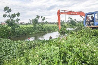 Chủ động ứng phó với xâm nhập mặn