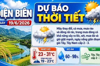 Bản tin Dự báo thời tiết ngày 19/6/2026