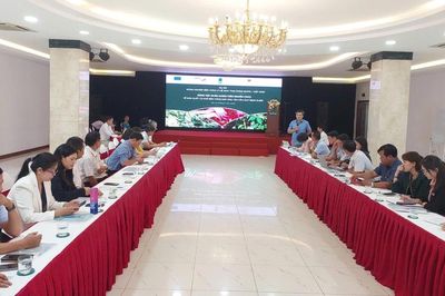 Gia Lai: Tập huấn giảng viên nguồn về sản xuất cà phê bền vững