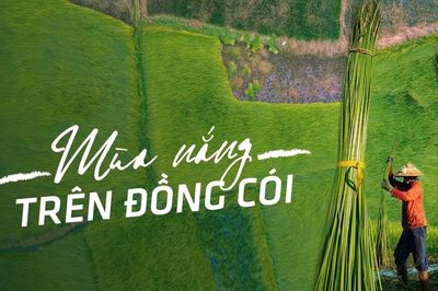 E-magazine Mùa nắng trên đồng cói